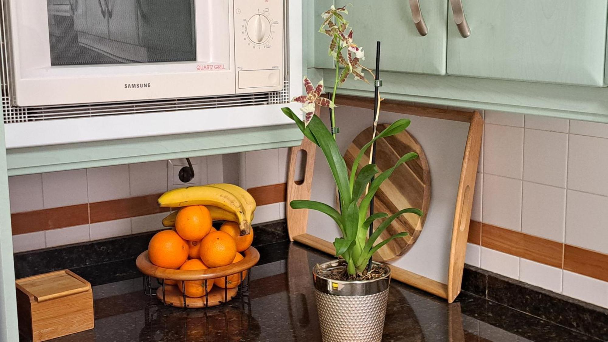 Apartamentos Maria Cristina Kordoba Bagian luar foto